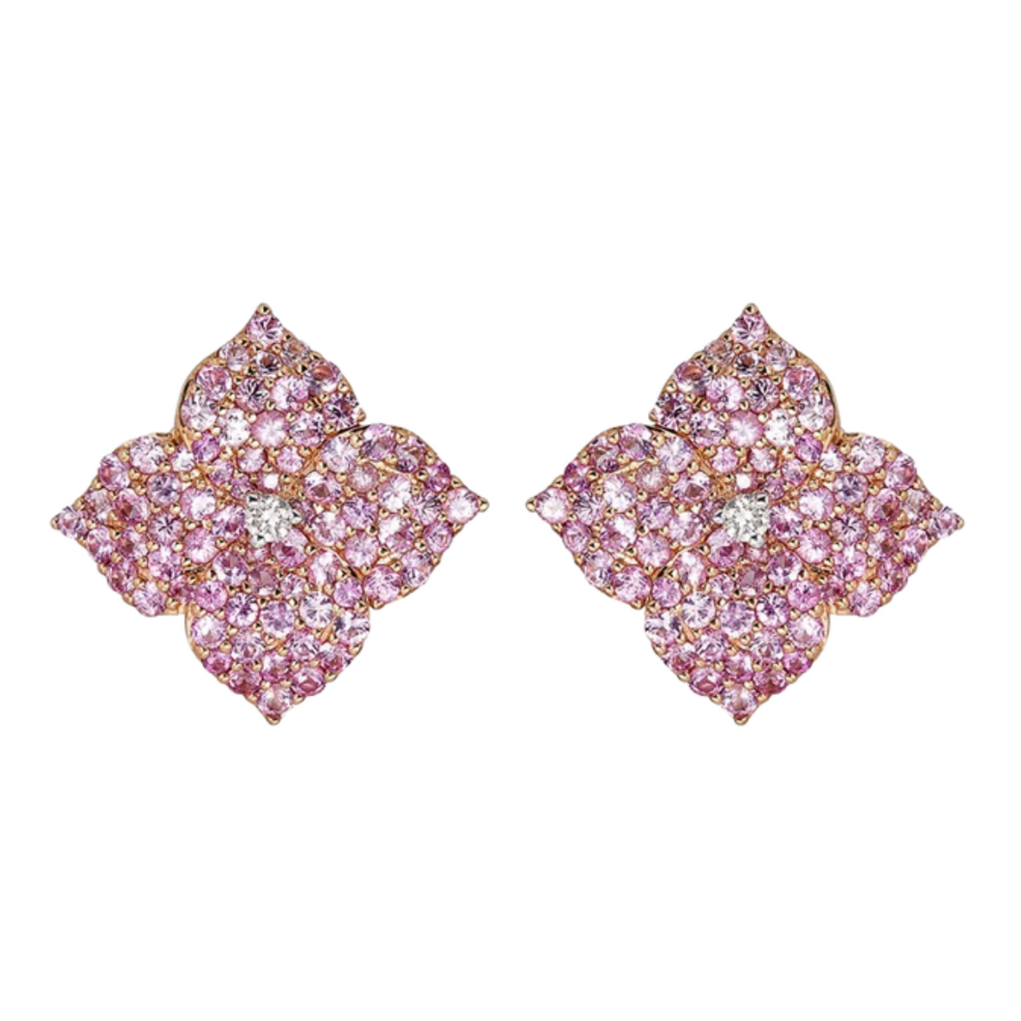 18k Rose Gold Piranesi Pink Sapphire Earrings